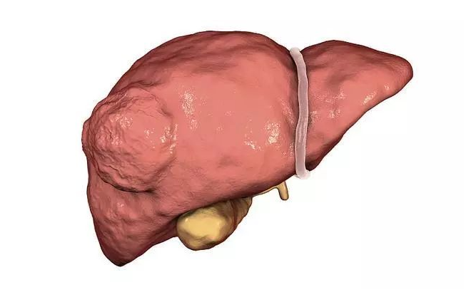 湿疹|解毒的“高手”已公布,不是枸杞,若常吃,排出肝毒,面色红润精神好