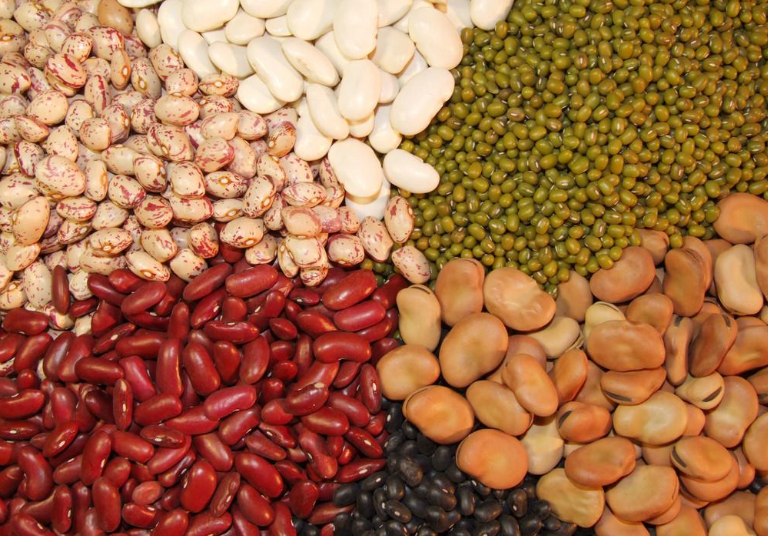 南瓜|常喝小米粥可以消散甲状腺结节？医生：若想呵护甲状腺，2“粗粮”要少吃