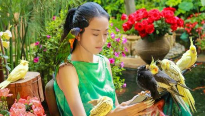 月亮|杨丽萍3000万“月亮宫”被封，外表光鲜亮丽，里面不干净