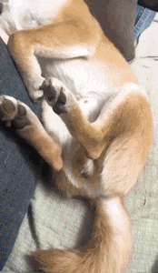 萌控孩|女朋友和她的闺蜜喝多了直接躺地上,我到底该怎么办呢?哇哈哈