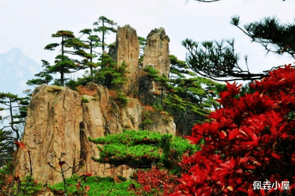 游山川 黄山归来不看岳，黄山有着怎样的魅力，你能征服光明顶吗？