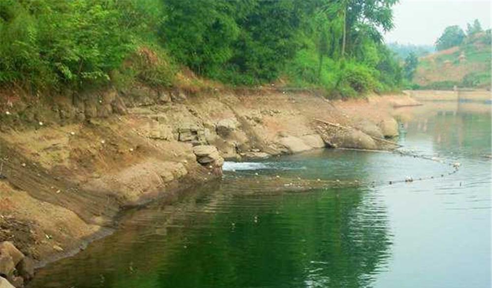 地方时政|夏季钓鱼，钓点一定选深水吗？这些位置钓浅也上鱼，比深水还靠谱