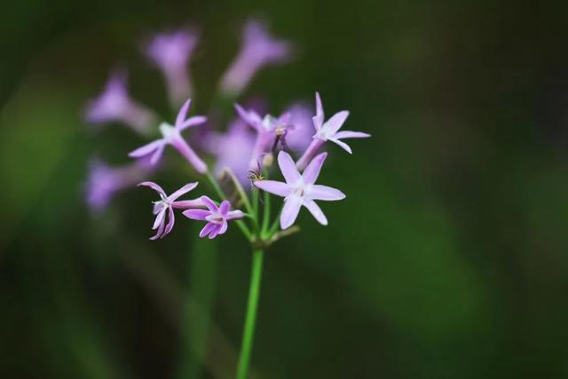 情感说心事|活着，没有谁不累的