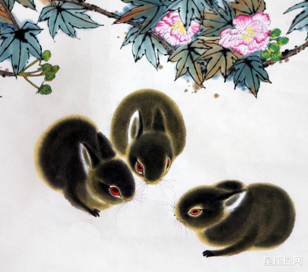 运势|啥生肖的人，12月下旬，运势容易有大起伏，即将有转运的好事