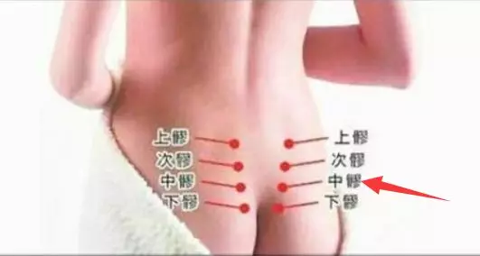 老胡胡胡说|八髎穴(上、次、中、下髎)详解, 临床实用!