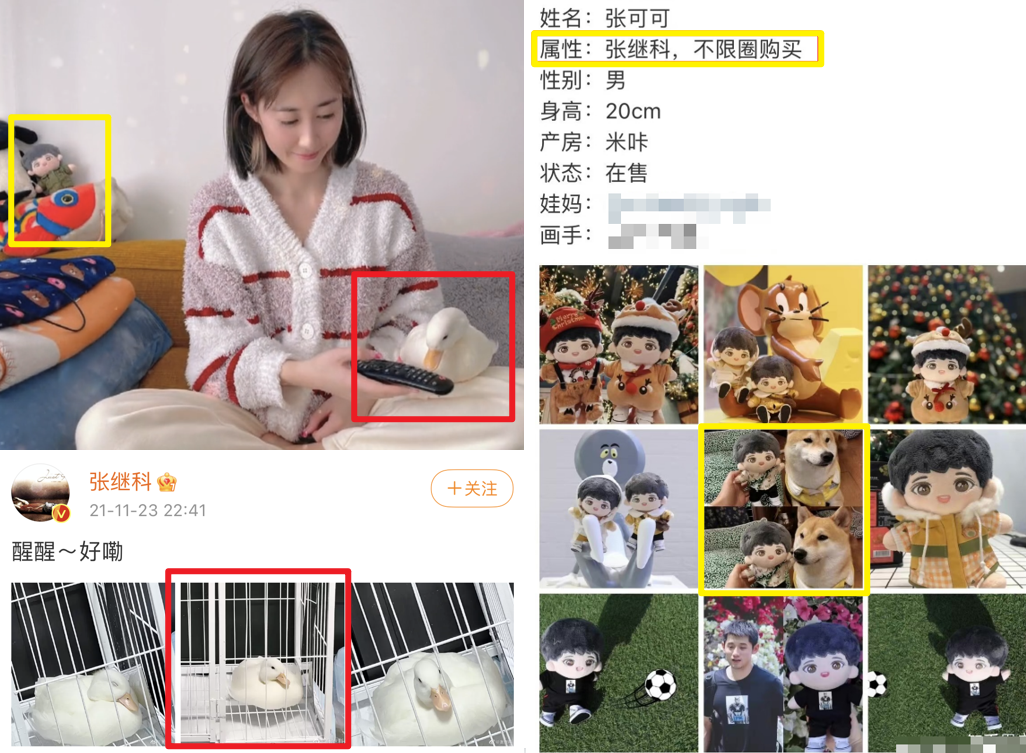 Angelababy|张继科恋情被扒？疑似结婚且已生子，女方是白百何绯闻对象前妻