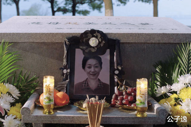 公子逸|《都挺好》原著苏明成“三次去赵美兰墓地”:从吼到哭,只余畸形