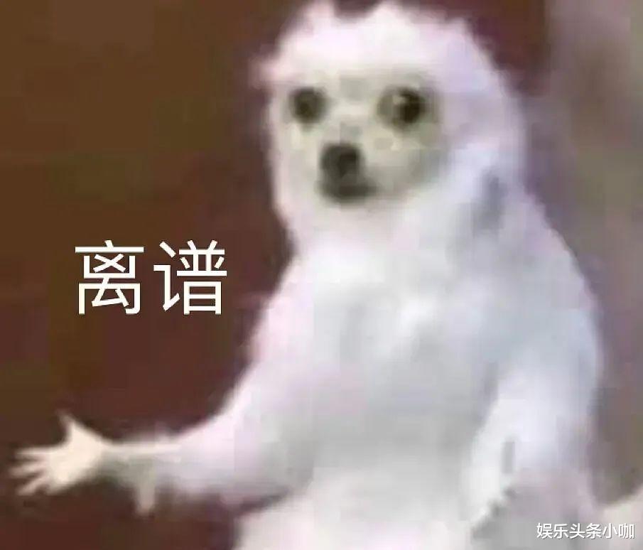 gai|又翻车！宠妻人设崩了，撩骚粉丝被锤？