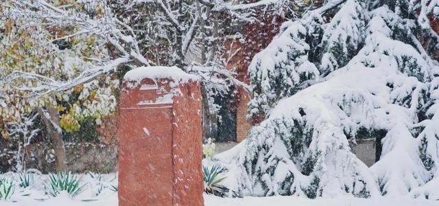 清华大学|愿以三分初雪，勾勒百景清华（多图）