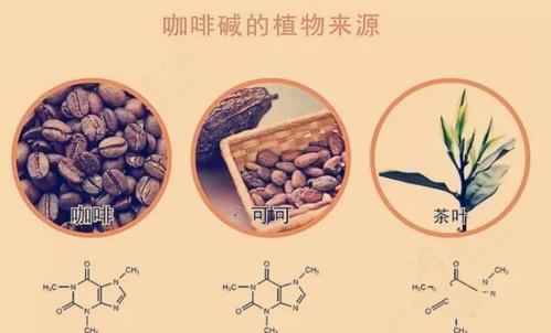 专注现代人养生解说|长时间喝茶有什么好处和坏处