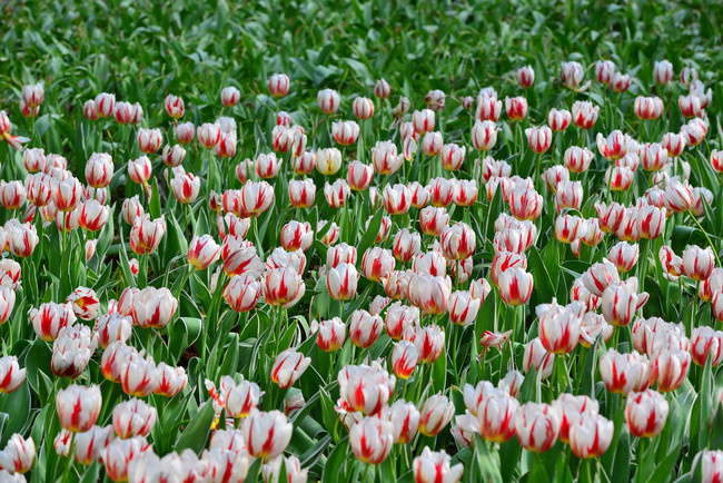 机器人|人心难测,要想与人交往不吃亏,记住这四戒