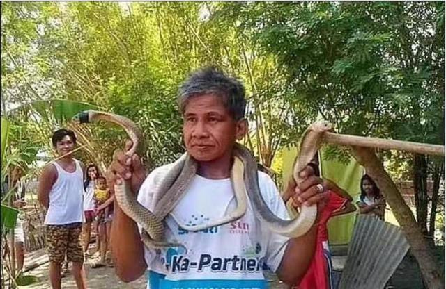 話不能說太滿！菲律賓一專傢自稱對毒液免疫，試圖親吻蛇時被咬死-圖3