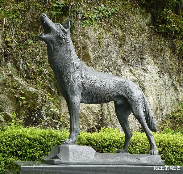 恶魔果实|海贼王：大和恶魔果实是狼，凯多深感害怕，原因在于超强实力