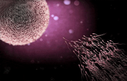 京妈说|怀孕多少周怎么算？计算“胎儿孕周”的错误和正确方法，早了解