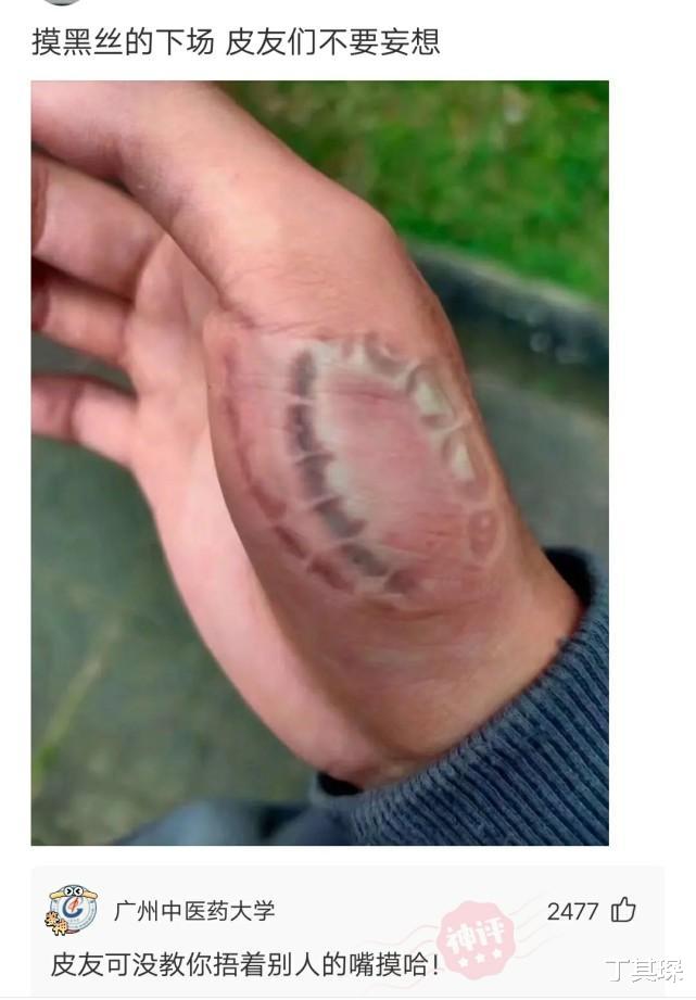 丁其琛|神回复：我爸居然问我有没有和女朋友睡过觉，怎么回复他我有睡过