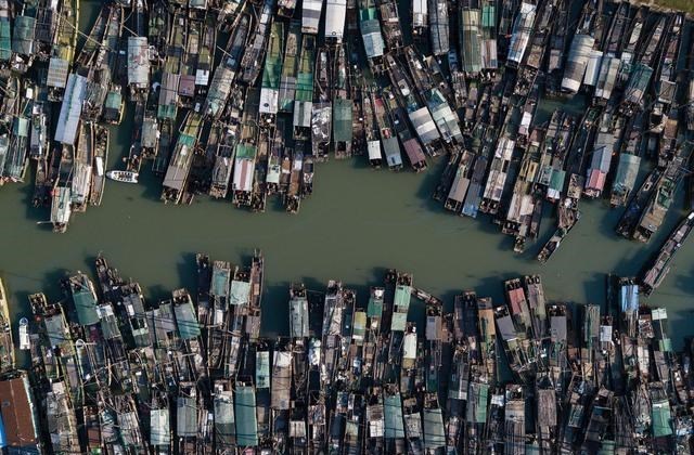 永州|永州3名男子钓获69斤翘嘴，被刑拘！要判刑吗？