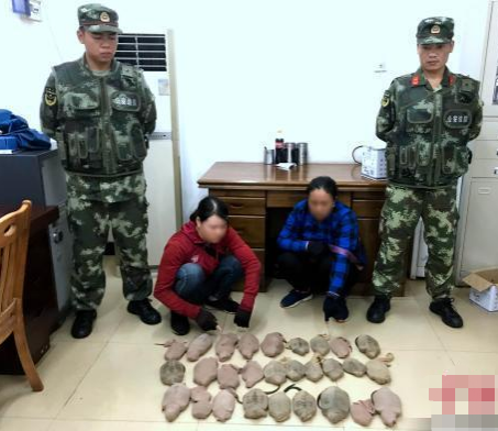 |有的动物不要捉,两女子捉十几只龟栽了,网友:一级国保都敢动?