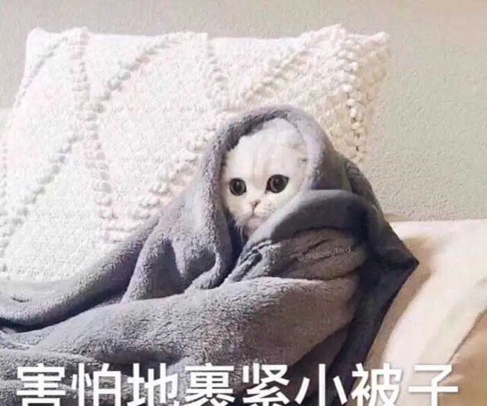 广州市|在广州买房的第4年，他选择了断供……