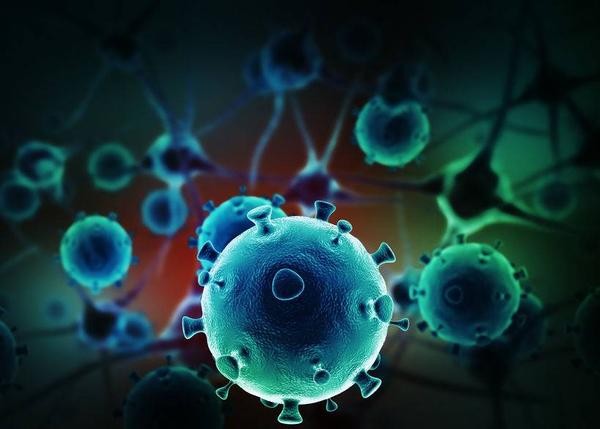 疾病|肾实质损伤,这几个因素请多加防范,避免肾脏纤维化