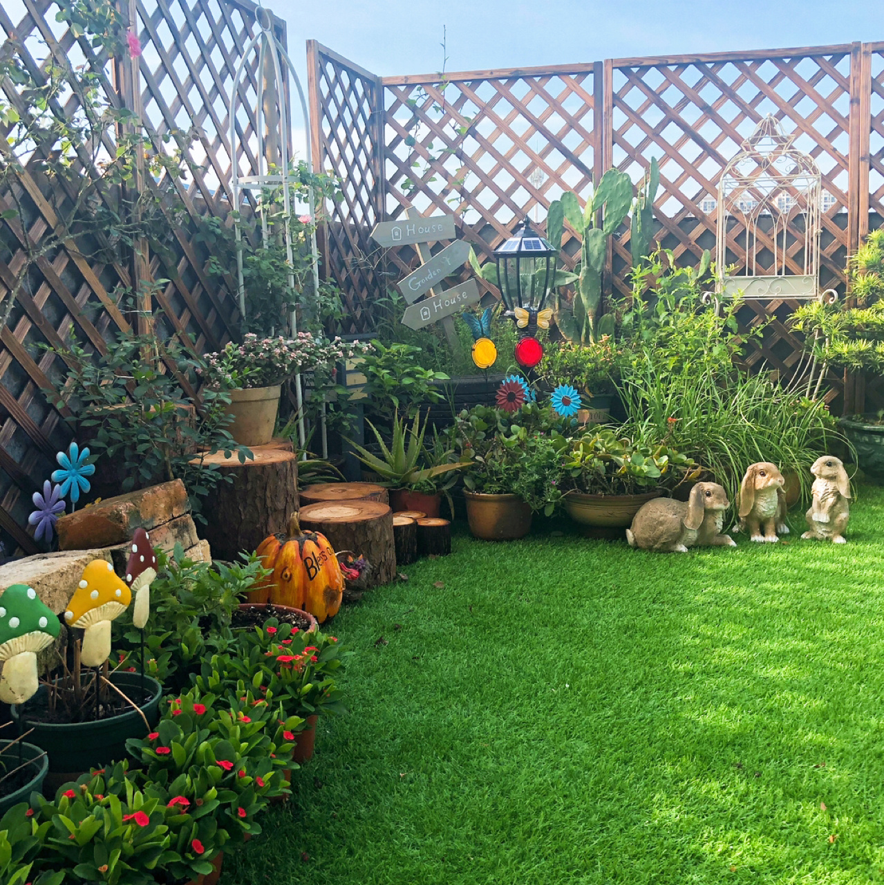 荒废多年的80㎡楼顶露台,DIY改造花园,从无到有满满的成就感了