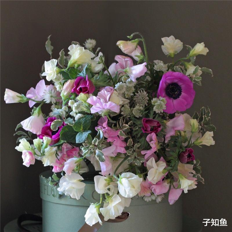子知鱼|领导力很强的星座，光芒四射，实力惊人，遇见了得赶紧抱大腿