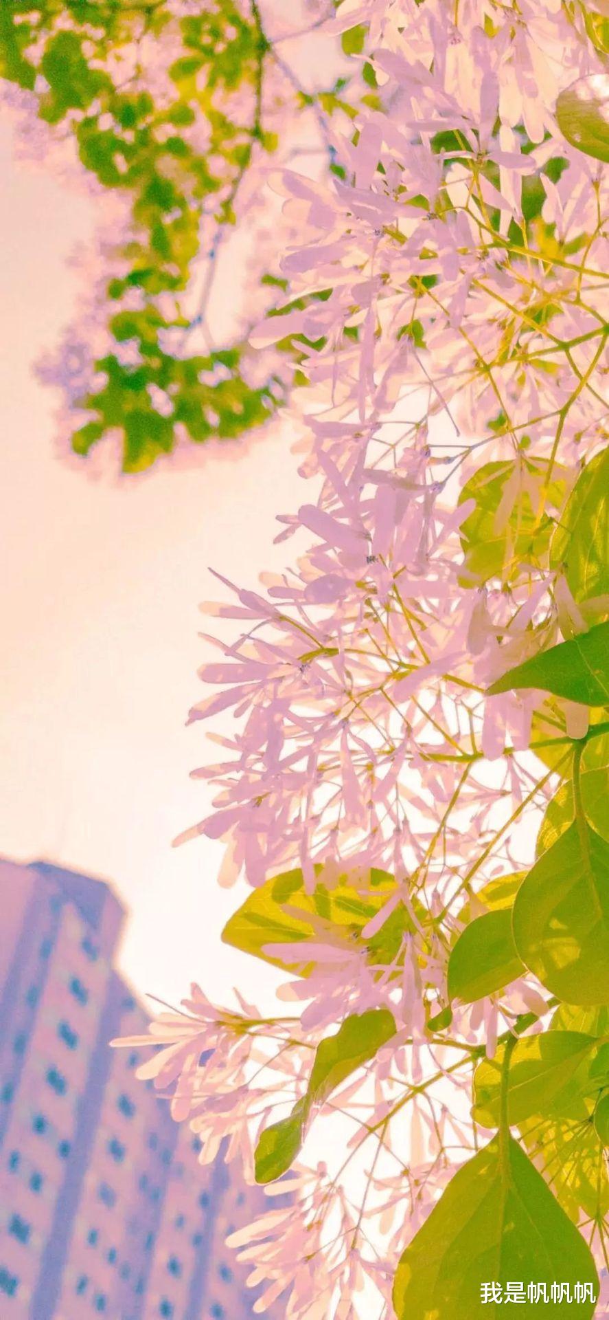 双鱼座|职场中，依靠能力说话的3个星座，总是有着好人缘