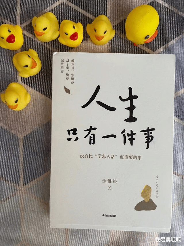 我是吴呱呱|《人生只有一件事》：怕麻烦的人，永远过不上自己想要的生活