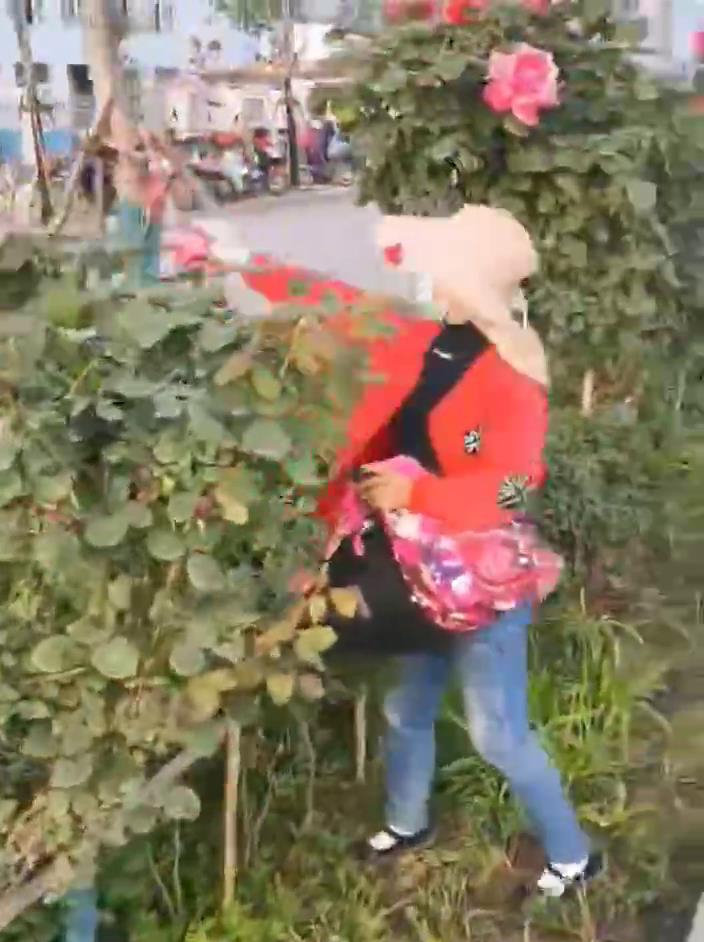 阜阳那些事 太猖狂!满满一车!刚刚,她被阜阳警方带走了!