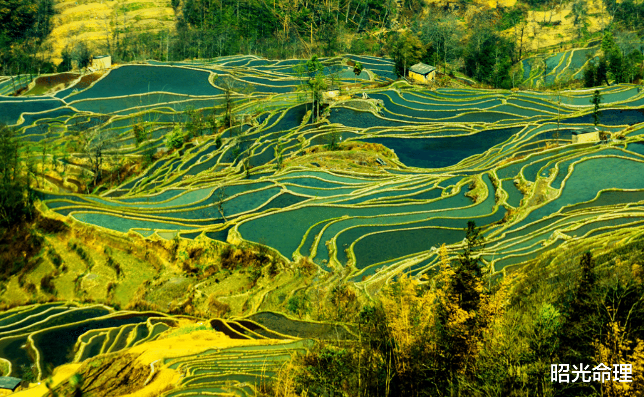 昭光命理|从儿格为什么这么厉害?因为这个儿是豪门