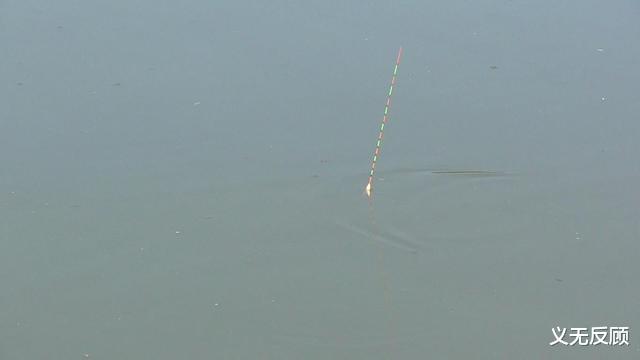 钓鱼|冬天钓鱼不要太生硬。学会判断铅垂线的底部，以免漏鱼