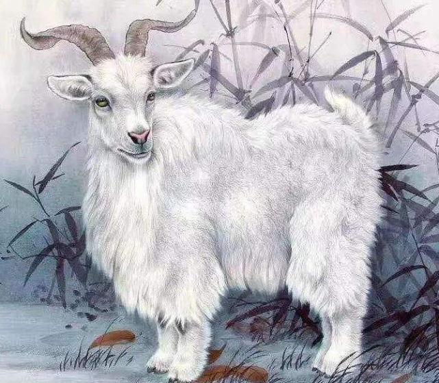 星座风水算命馆|9月下旬转运有契机,事业遇贵人,步步高升,发财晋升有望的生肖