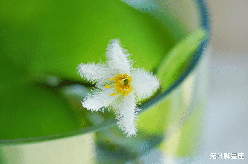 |未来五年，4个星座，看似不起眼，未来难以高攀，别轻易得罪