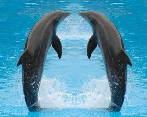 陨石 17条鲜为人知的冷知识，你知道多少？是不是感觉不可思议