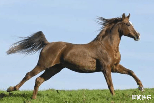 银行|属马的人生在几月，下半年扬帆起航，赢得先机，职场业绩爆棚