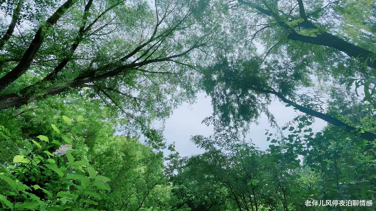 老伴儿风停夜泊聊情感 遭遇背叛后，该明白的7个道理，均是血的“教训”