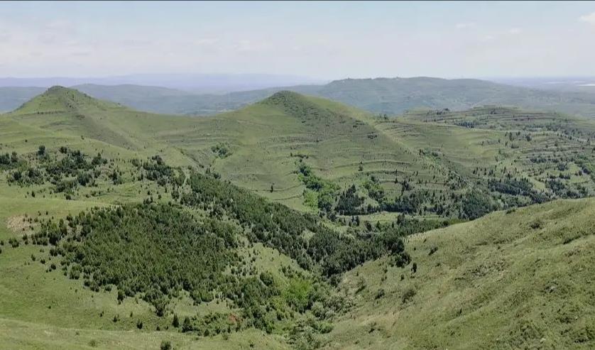 荷花 陕西秦岭一越野好地，有小瑞士之称，本地人不当回事，游客当成宝