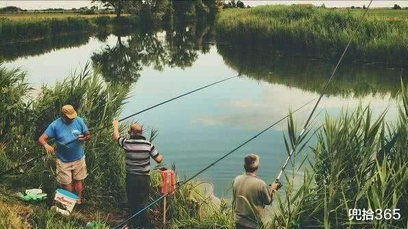 广东省|钓鲢鱼收获“米级”翘嘴,广东男子野钓的罕见经历,网友:运气好