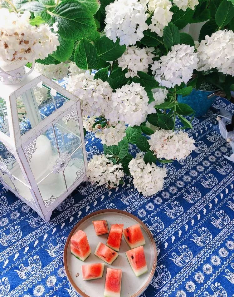 |3㎡的阳台能干嘛？这个宿舍小阳台花园或许会惊艳到你，看看吧！