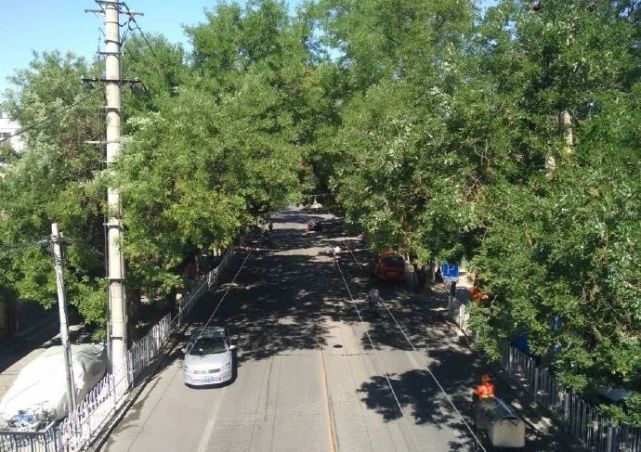 房价|【北京新街口四合院出租】庭院怡人,木石含情,花草相迎