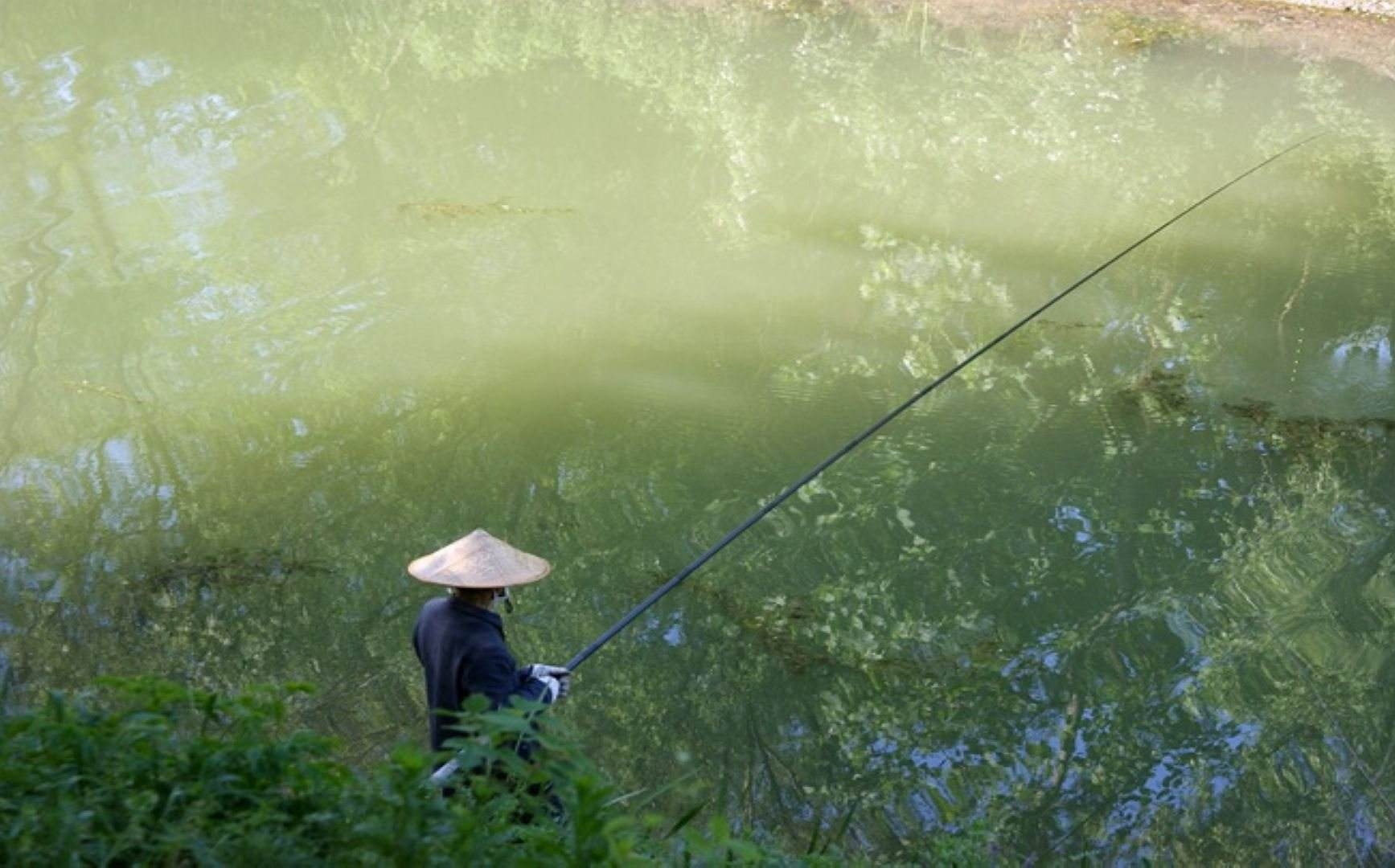 摄像头|钓鱼人的“3大恨事”，任你钓技如神也难逃宿命