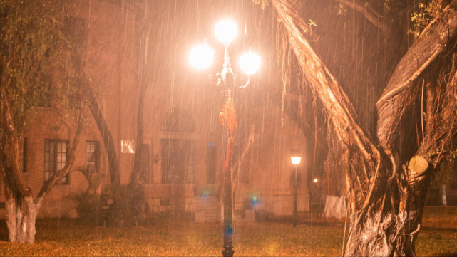 陈千雅|为什么下雨天睡觉，会让人觉得特别舒服？