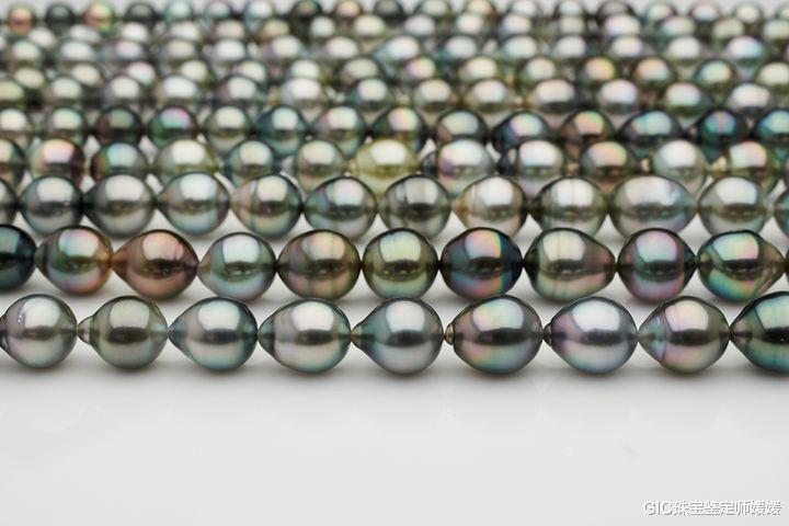GIC珠宝鉴定师媛媛 这么一个小镇，可以生长出世界上最美丽的海水珍珠，成为珍珠之都