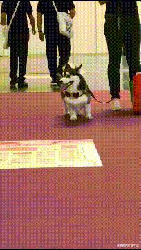 “酒店卫生间开始有这种椅子了？这设计用来干什么的？”