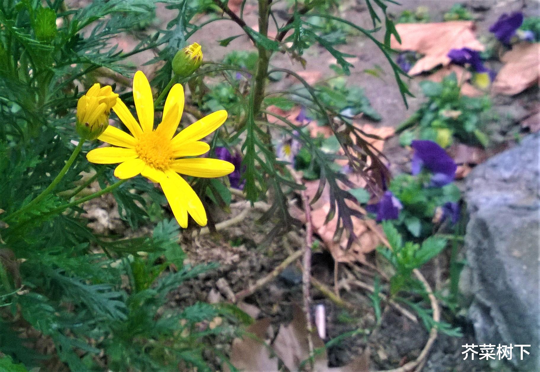 |职场你我他，不只是标签集