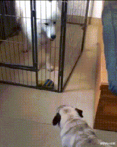 “我家邻居盖了栋豪宅，弄的我家变成了他的厨房…”