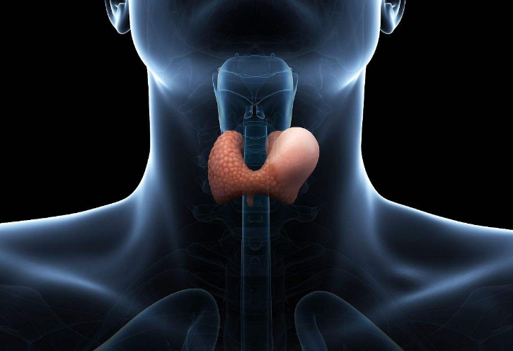 熊猫医学社|28岁男子确诊甲状腺癌，医生：夜晚频繁做1事，铁打的甲状腺也难抗