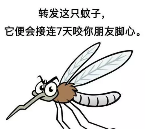武老师的育儿科创空间|【科普】今天告诉你，为什么蚊子总是咬你？