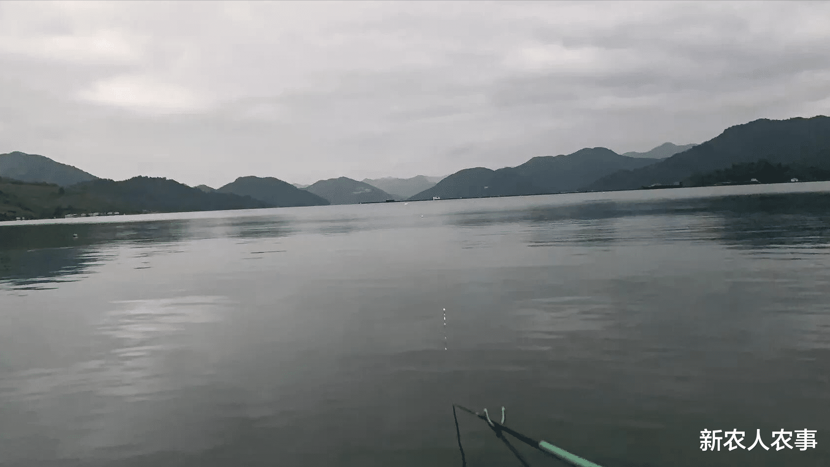 |男子钓获全身长斑的怪鱼,本想发朋友圈炫耀,却听到不好的消息