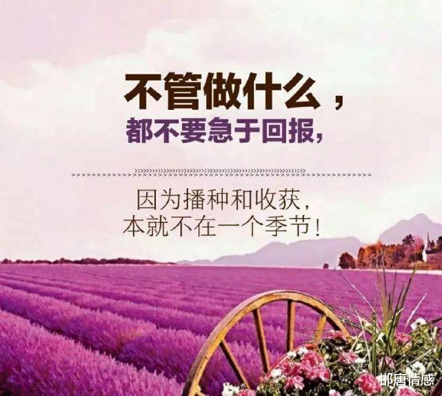 邯唐情感|朋友圈的真真假假，你以为我在看你，其实你只在自娱自乐