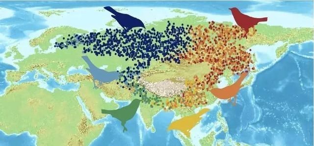 智人 地球上第一个人类是怎么出现的？是男是女？